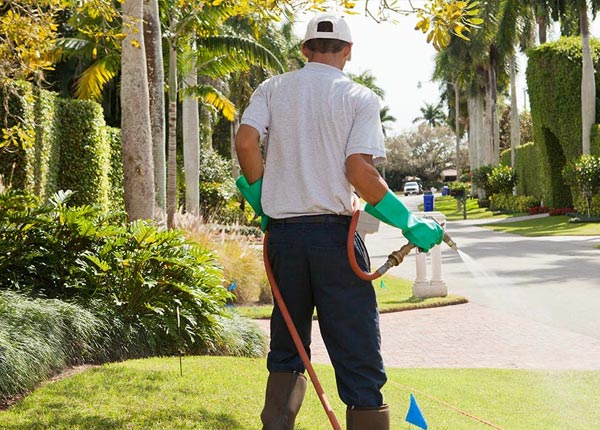 About Tarrytown NY Pest Control